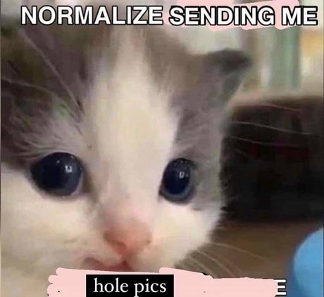 adjust rain pretty star pics