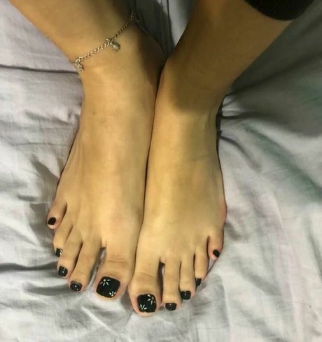 anangelicassis star top img