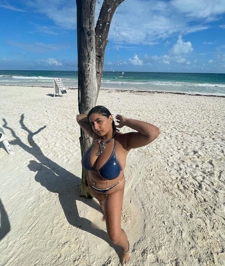 Chippy Nonstop model high quality photo