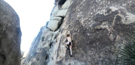 Angelica Danger Dawn top pornstar picture