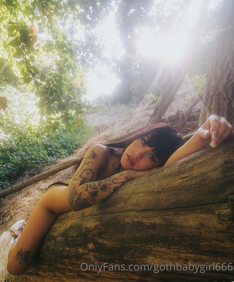 gothbabygirl666 beautiful star pictures