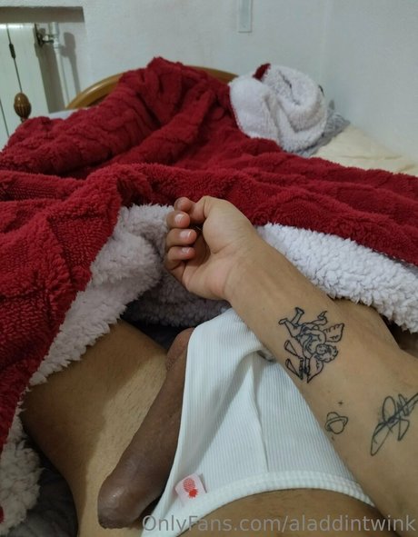 aladdintwink model image