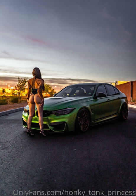 honky tonk princess perfect actress archive