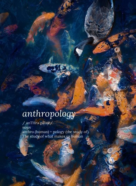 catgod x nudes pornstar pictures