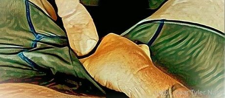 celtic bear exclusive star archive