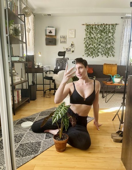 angelamourvip star art galleries