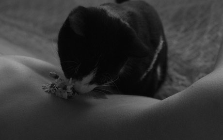 nude pregnant onlyfans best image