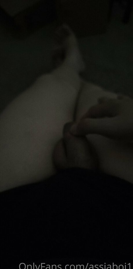 assiaboi1 pornstar art archive