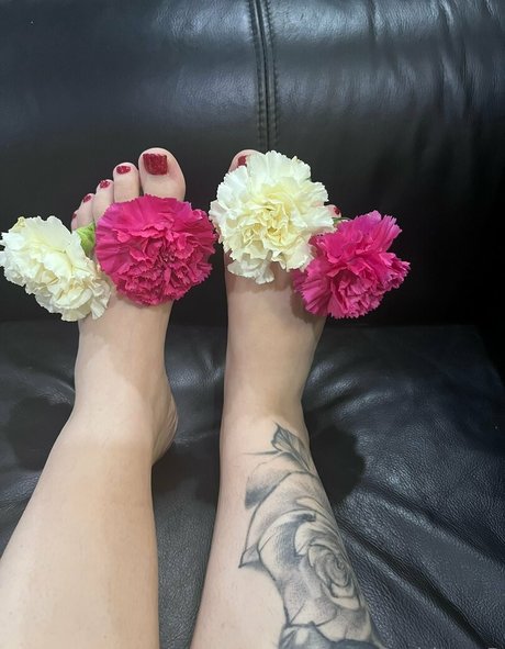 acebosswoman star pretty pictures