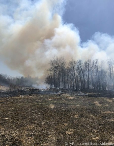 nicebassblondie top model pictures