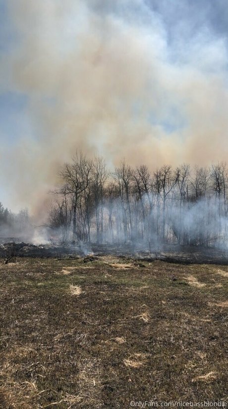 nicebassblondie model free images