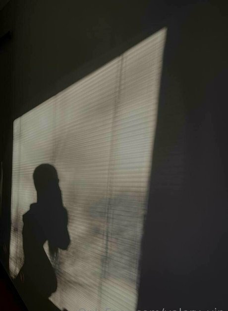 valery vip model high quality img