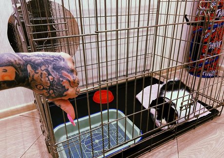 annabatman xxx model pic