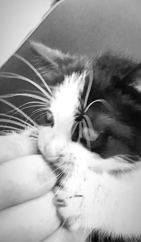 cosplay femboy onlyfans art porn pic